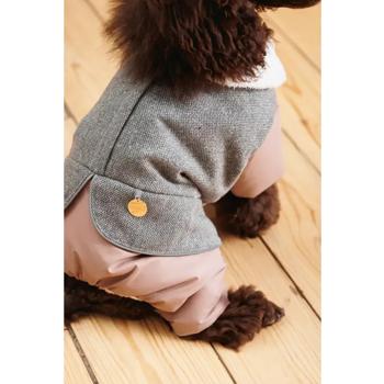 Costume Pet fashion - buy, prices for MasterZoo - photo 6