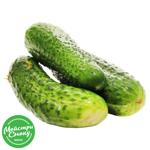 Lightly Salted Cucumbers