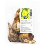 Gold Disk Daffodil Bulbs 3pcs