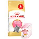 Набір корму Royal Canin для кошенят породи британська короткошерста cухий 2кг + вологий 4шт х 85г