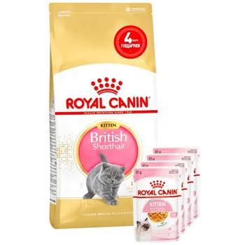 Набір корму Royal Canin для кошенят породи британська короткошерста cухий 2кг + вологий 4шт х 85г - купити, ціни на MasterZoo - фото 1