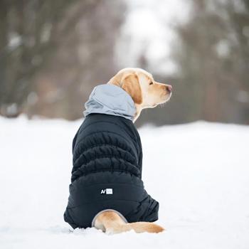 Комбінезон для собак Collar AiryVest ONE XS-25 - купить, цены на MasterZoo - фото 2