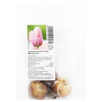 Menton Simple Late Tulip Bulbs 3pcs - buy, prices for ULTRAMARKET - photo 1