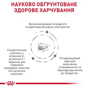 Корм сухой Royal Canin Gastrointestinal для котят с заболеваниями желудочно-кишечного тракта 2кг - купить, цены на MasterZoo - фото 4