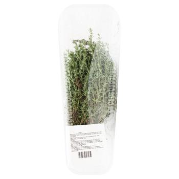 Thyme 50g - buy, prices for EKO Market - photo 1