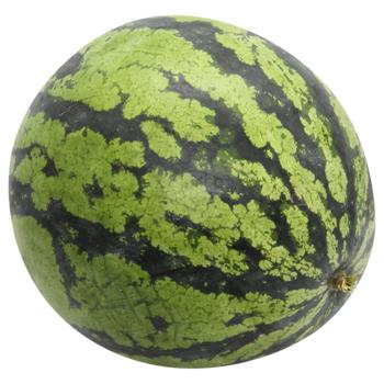 Yellow Watermelon - buy, prices for - photo 2