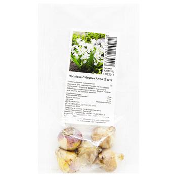 Snowdrop Siberica Alba Bulb 5pcs - buy, prices for MegaMarket - photo 1