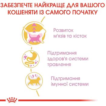 Набор корма Royal Canin для котят породы британская короткошерстная сухой 2кг + влажный 4шт х 85г - купить, цены на MasterZoo - фото 8