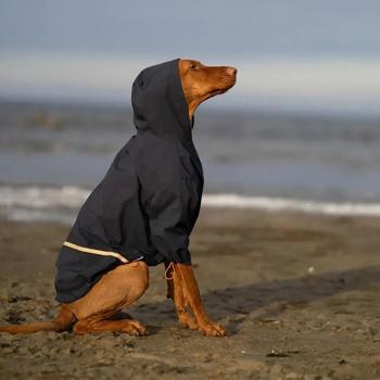 Noble Pet Moss Raincoat for Dogs s.3XL Blue - buy, prices for - photo 2