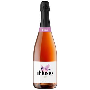 Sparkling wine 11-14% glass bottle - buy, prices for Epicentr FOOD - photo 1