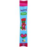 Alexis Fruit Raspberry Pastille 17g
