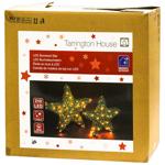 Tarrington House Boxwood Star 210LED 2pcs