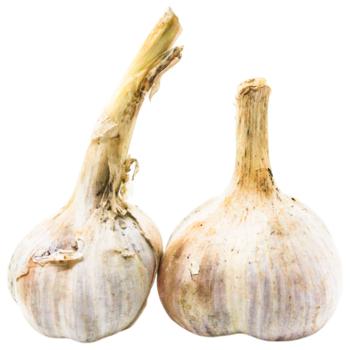 Young Garlic - buy, prices for METRO - photo 2