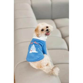 Sweatshirt Pet fashion - buy, prices for MasterZoo - photo 6