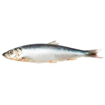 Fish Good Holland Lightly Salted Herring
