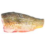 Carp Carcass without Head