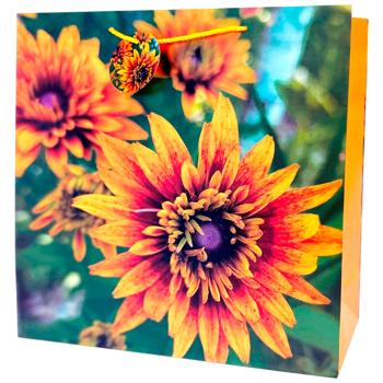 Пакет подарочный Art studio of Happines GB-24177 35х37х12см - купить, цены на ЕКО Маркет - фото 1