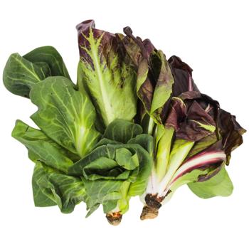 Салат Цикорино микс - купить, цены на METRO - фото 2