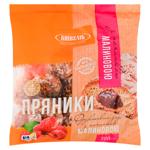 Kyyivkhlib Fruit Garden Gingerbread with Raspberry Filling 300g