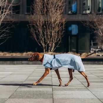 Raincoat Noble pet xxl Ukraine - buy, prices for MasterZoo - photo 4