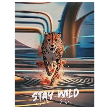 Тетрадь Мицар мягкая обложка А4 48 листов - купить, цены на Таврия В - фото 2