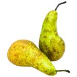 Conference Pear