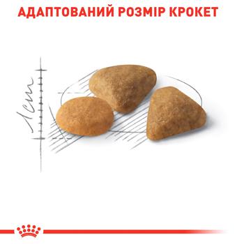 Royal Canin Savour Exigent Dry Food with Poultry for Fussy Cats 400g - buy, prices for MasterZoo - photo 5