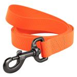 Leash Waudog orange
