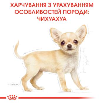 Корм сухий Royal Canin з домашньою птицею для цуценят породи чихуахуа 500г - купити, ціни на MasterZoo - фото 5