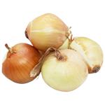 Лук репчатый