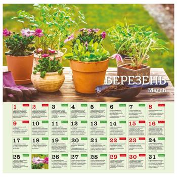 Holiday Every Day. Lunar Sowing Calendar 2025 - buy, prices for - photo 2