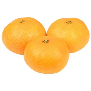 Tangerine - buy, prices for METRO - photo 2