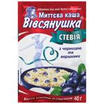 Каша вівсяна Вівсянушка зі стевією, чорницею та вершками швидкого приготування 40г