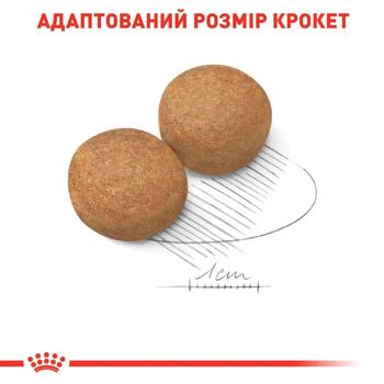 Royal Canin Maxi Adult Dry Food with Poultry for Dogs of Large Breeds 3.2kg+800g - buy, prices for MasterZoo - photo 5