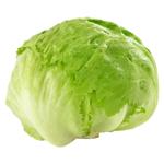 Iceberg Lettuce