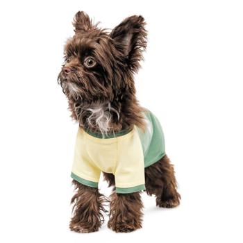 Pet Fashion Endy T-shirt for Dogs s.S - buy, prices for MasterZoo - photo 2