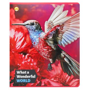 Зошит Тетрада в лінію 36арк. в асортименті - купити, ціни на МегаМаркет - фото 5