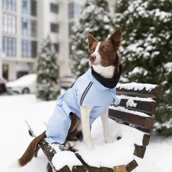 Noble Pet Moss Raincoat for Dogs s.2XL Blue - buy, prices for MasterZoo - photo 5