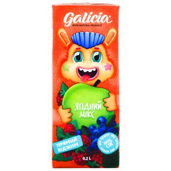 Galicia Berry with Pulp Juice 200ml - buy, prices for Za Raz - photo 2