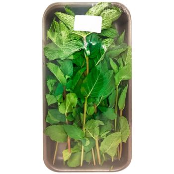 Mint Bunch - buy, prices for Vostorg - photo 1