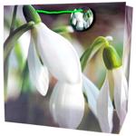 Art Studio of Happines GB-24174 Gift Bag 35х37х12cm