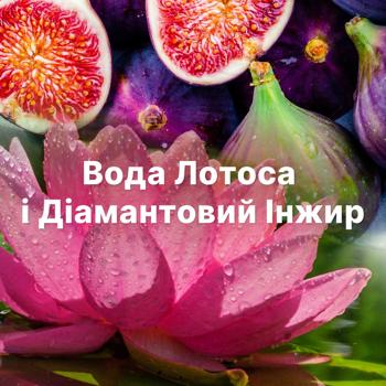 Ополаскиватель для белья Lenor Бриллиантовый инжир и вода лотоса 1,2л - купить, цены на - фото 8