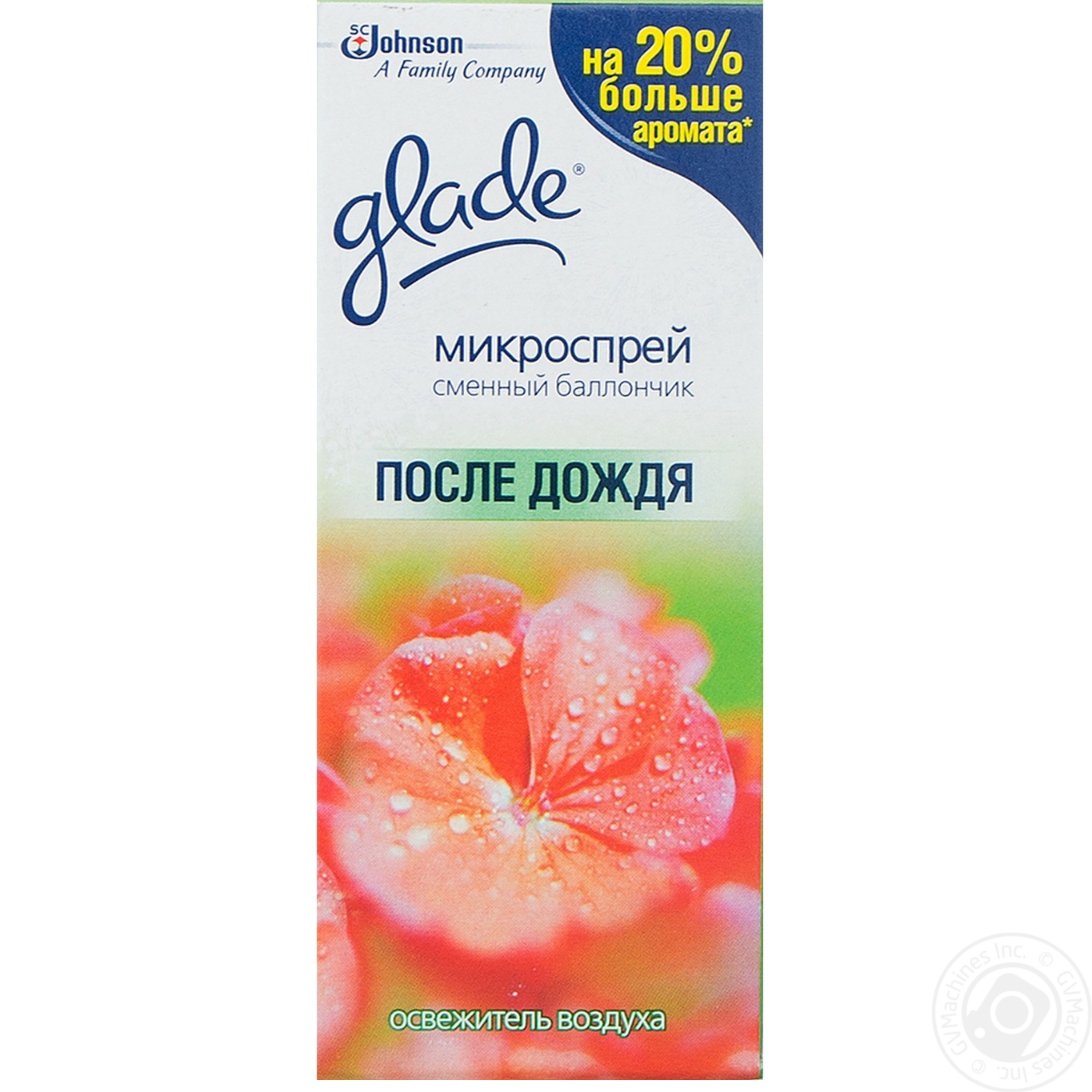 Rain Glade