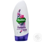 Product Radox for shower 250ml