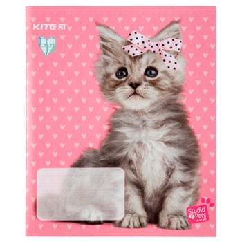 Kite 12 Pages Checkered Notebook - buy, prices for - photo 6