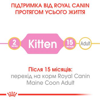 Корм сухий Royal Canin з домашньою птицею для кошенят породи мейн-кун 400г - купити, ціни на MasterZoo - фото 4