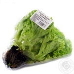 Galicia Greenery Lolo Bionda Fresh Salad