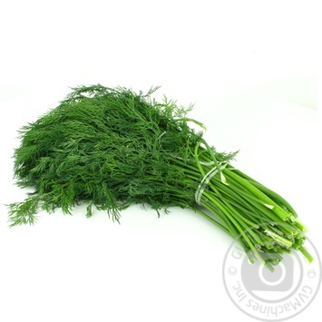 Dill, 1 Bunch - buy, prices for - photo 2