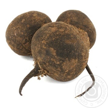 Black Radish - buy, prices for Auchan - photo 2