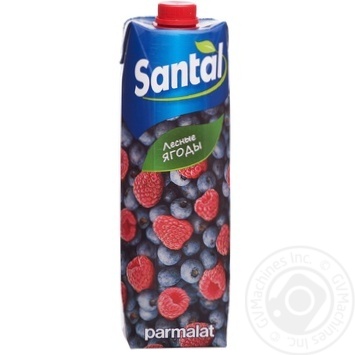 Clarified juice-containing drink Santal Wild berries 1l - buy, prices for MegaMarket - photo 1